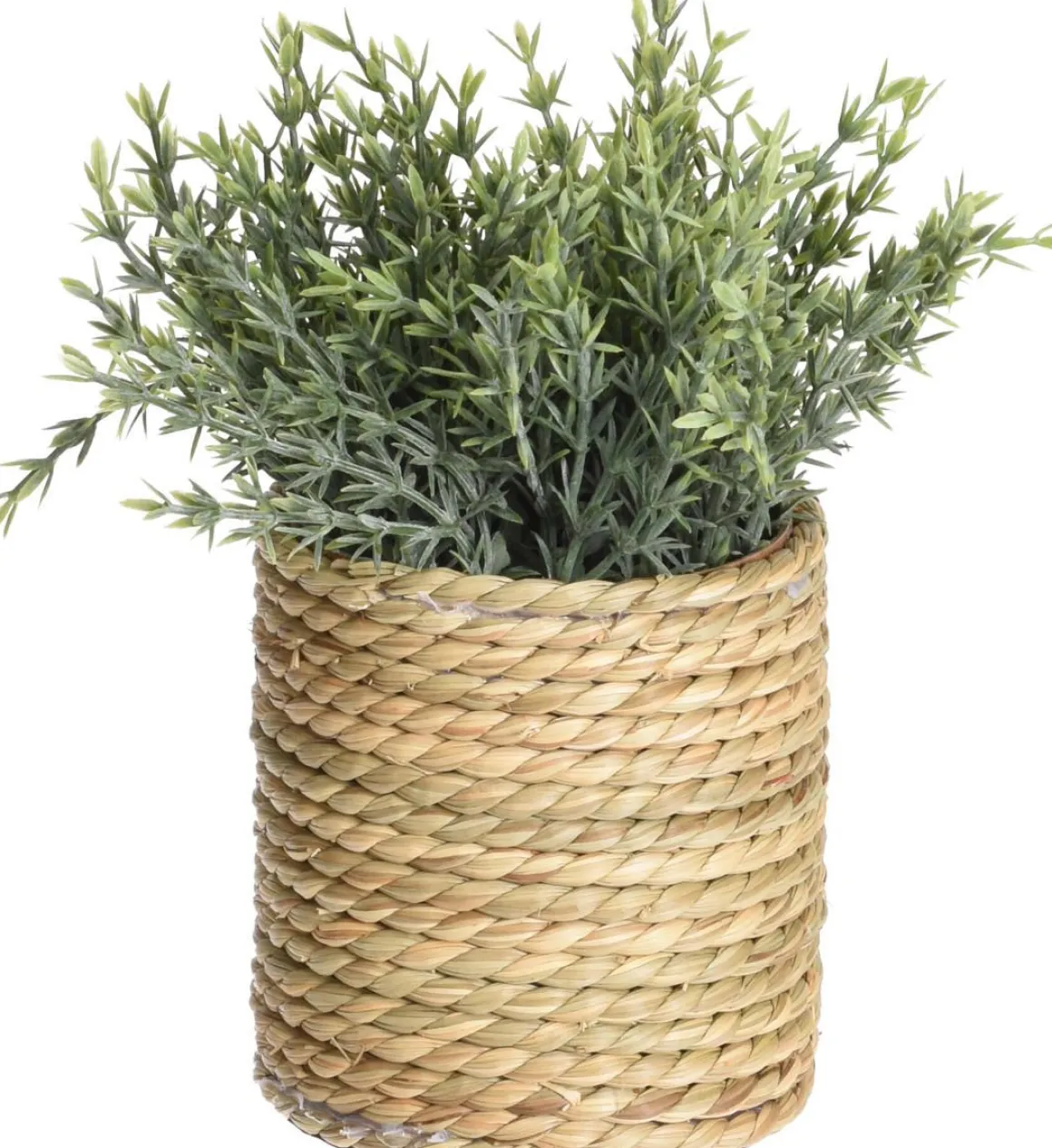 TEKOKASVI RUUKUSSA 23CM