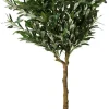TEKO OLIIVIPUU 155CM