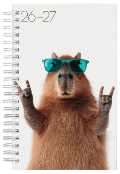 TIME/SYSTEM KOULUKALENTERI COOL ANIMALS 18KK KABYBARA