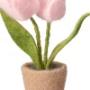 TULPPAANIT RUUKUSSA 19CM LAJITELMA
