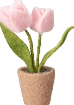 TULPPAANIT RUUKUSSA 19CM LAJITELMA