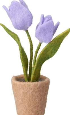 TULPPAANIT RUUKUSSA 19CM LAJITELMA