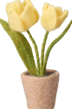TULPPAANIT RUUKUSSA 19CM LAJITELMA