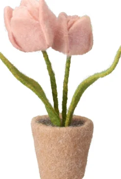 TULPPAANIT RUUKUSSA 19CM LAJITELMA