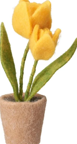 TULPPAANIT RUUKUSSA 19CM LAJITELMA