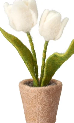 TULPPAANIT RUUKUSSA 19CM LAJITELMA