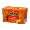TWININGS WARMING CHAI & GINGER YRTTITEE 20X2G 40 G