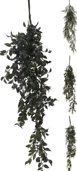 VIHERKASVI ROIKKUVA 80CM