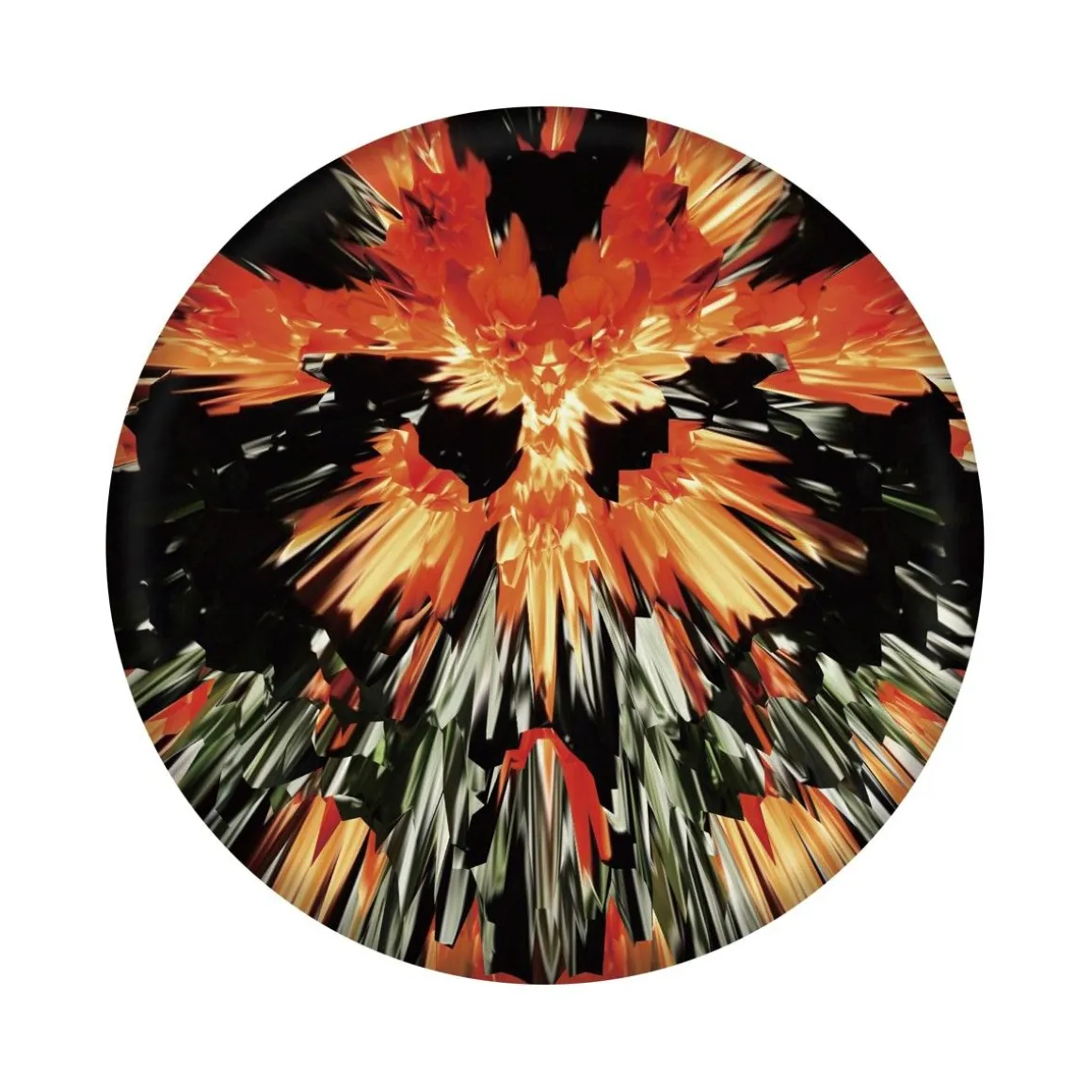 WABOBA WINGMAN PRO FRISBEE