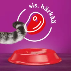 WHISKAS 1+ HÄRÄNLIHAA 3,8 KG