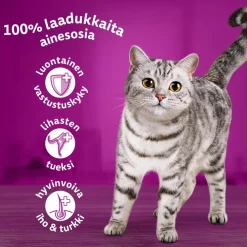 WHISKAS 1+ KALASUOSIKIT HYYTELÖSSÄ 12*85G 1,02 KG