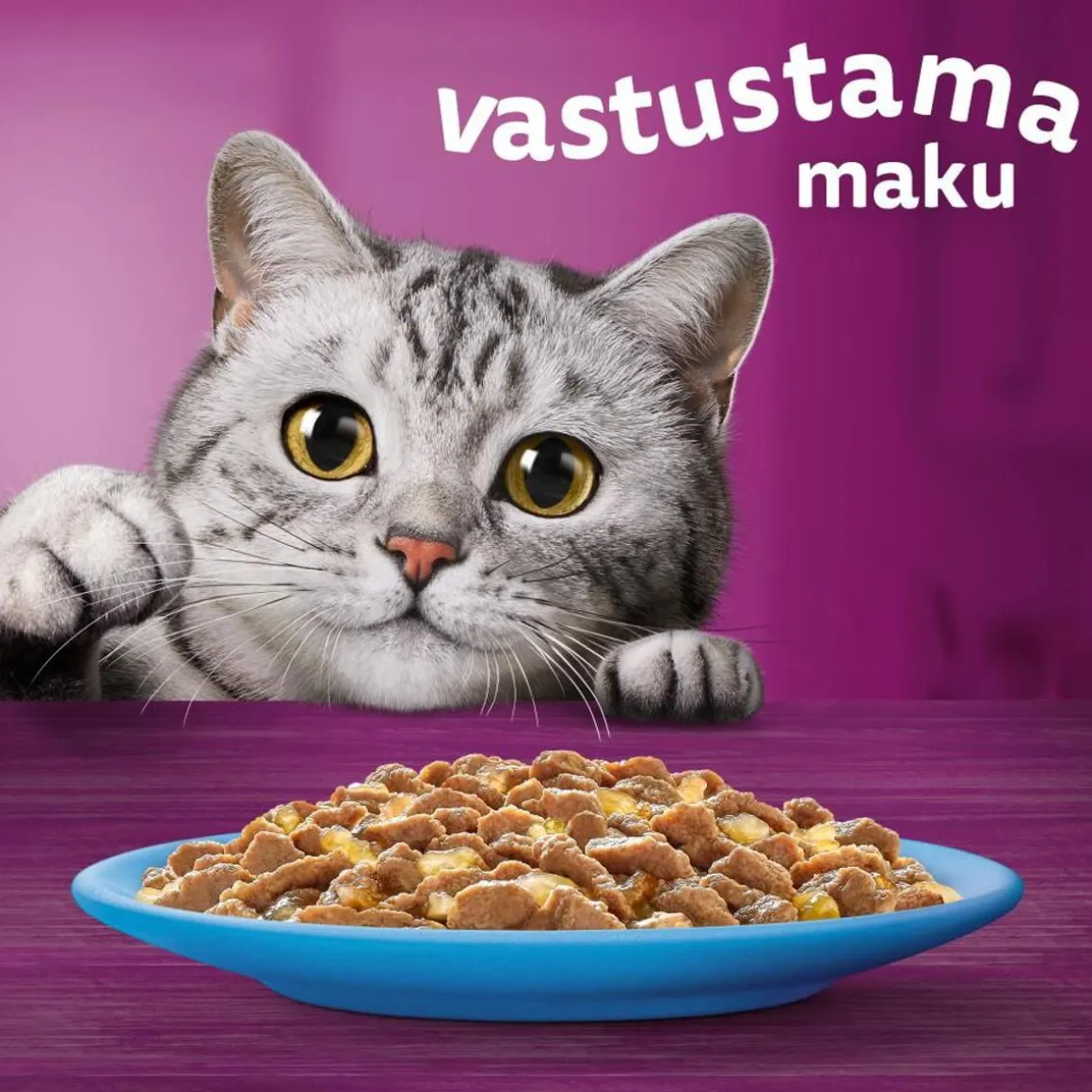 WHISKAS 1+ KALASUOSIKIT HYYTELÖSSÄ 12*85G 1,02 KG