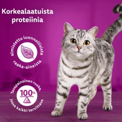 WHISKAS 1+ PURE DELIGHT PERINTEISET ATERIAT HYYTELÖSSÄ 12*8