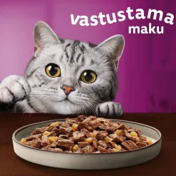 WHISKAS 1+ PURE DELIGHT PERINTEISET ATERIAT HYYTELÖSSÄ 12*8