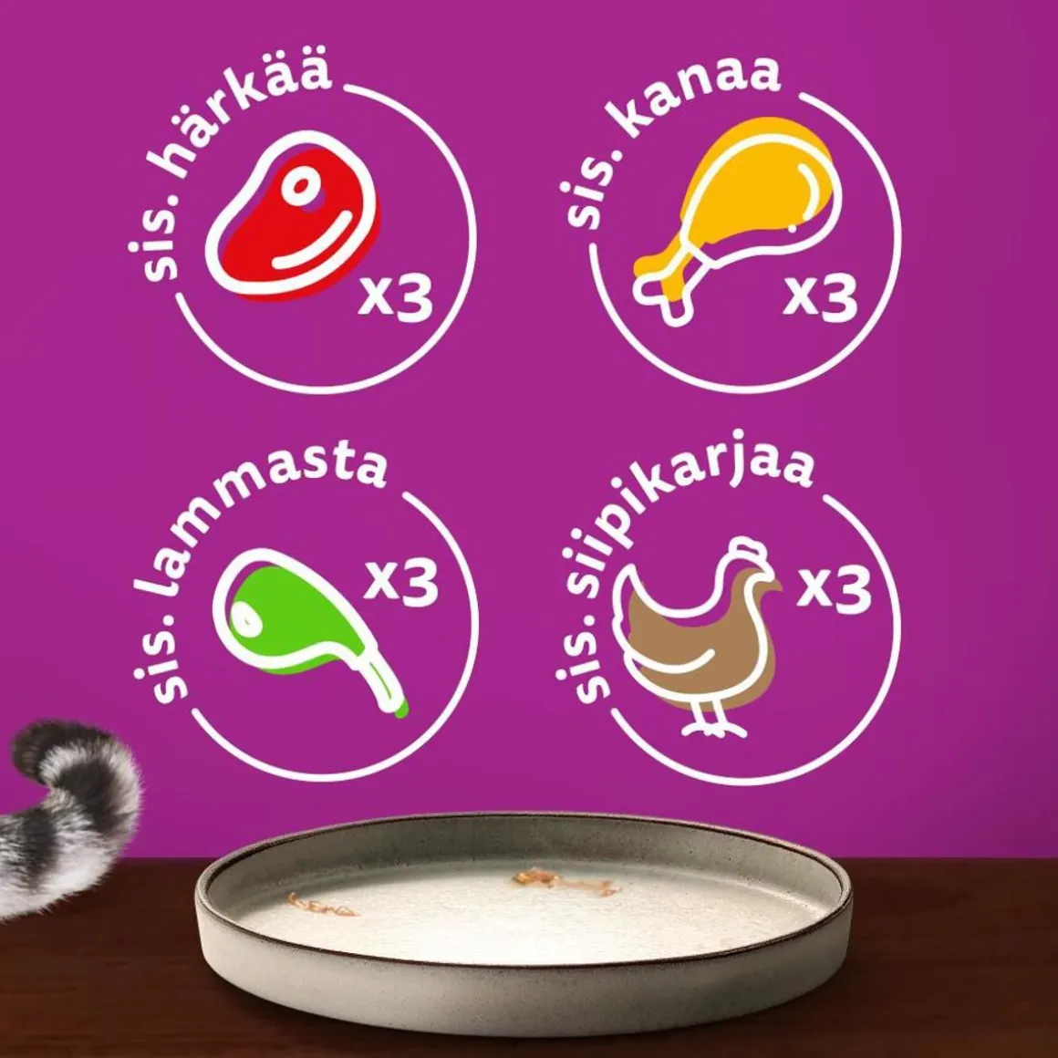 WHISKAS 1+ PURE DELIGHT PERINTEISET ATERIAT HYYTELÖSSÄ 12*8