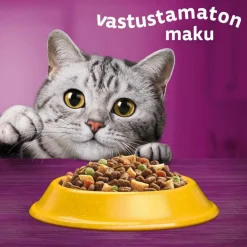 WHISKAS 7+ SENIOR KANAA 800 G
