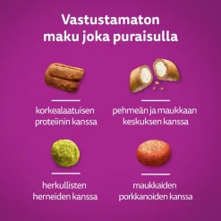 WHISKAS 7+ SENIOR KANAA 800 G