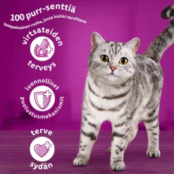 WHISKAS 7+ SENIOR KANAA 800 G