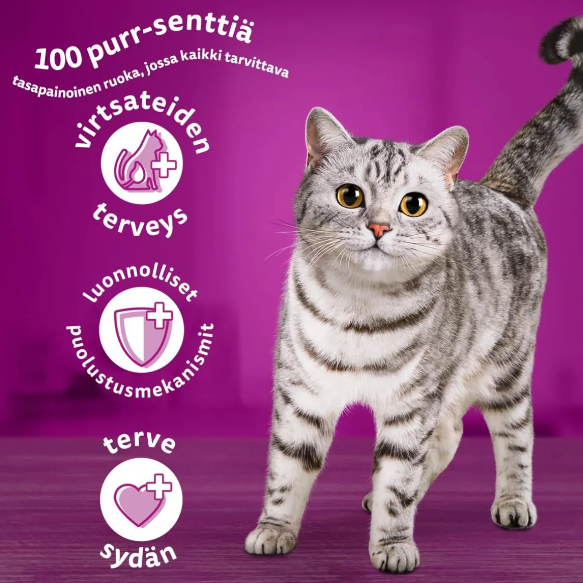 WHISKAS 7+ SENIOR KANAA 800 G