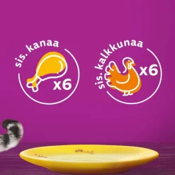 WHISKAS 11+ SIIPIKARJAHERKUT HYYTELÖSSÄ 12*85G 1,02 KG
