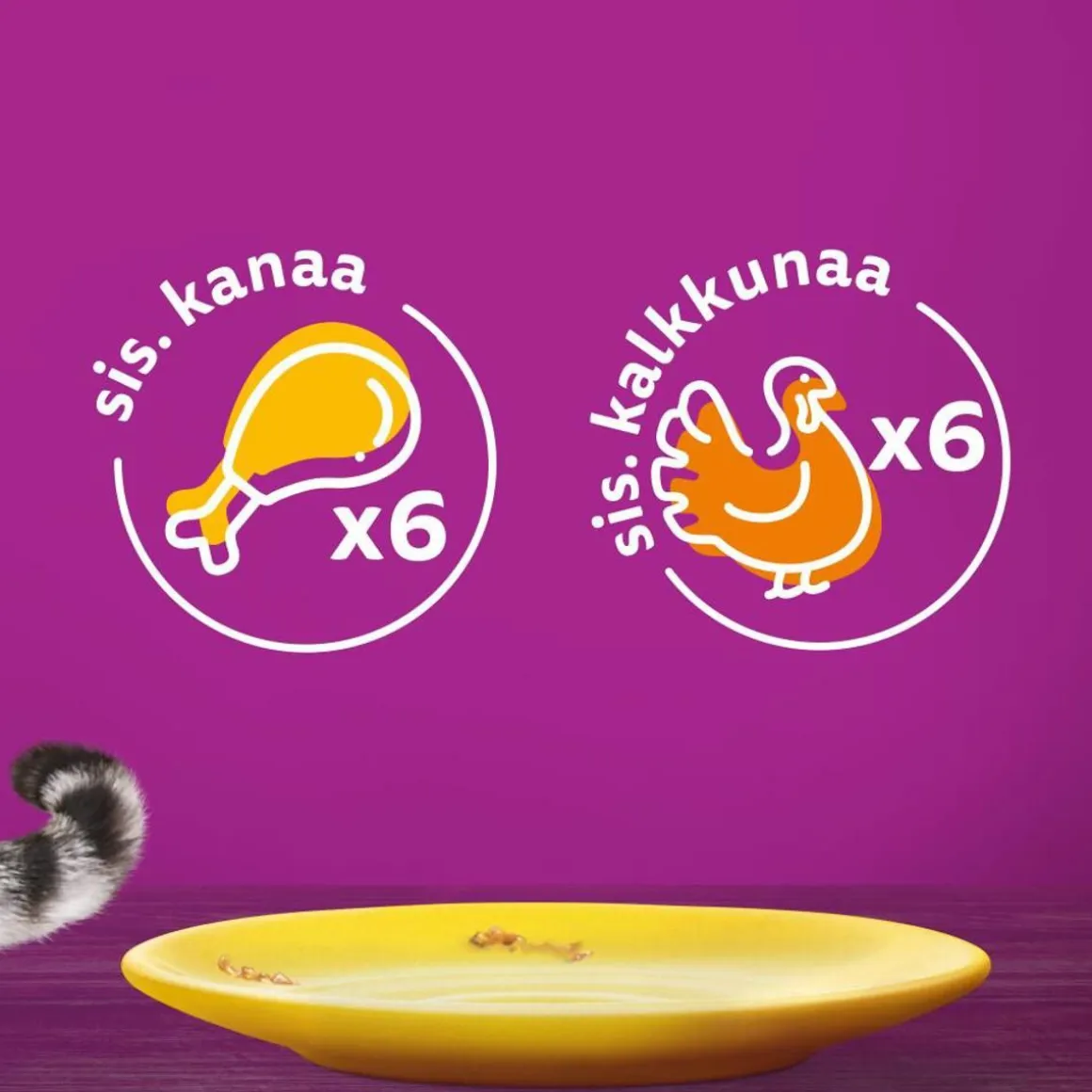 WHISKAS 11+ SIIPIKARJAHERKUT HYYTELÖSSÄ 12*85G 1,02 KG