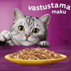 WHISKAS 11+ SIIPIKARJAHERKUT HYYTELÖSSÄ 12*85G 1,02 KG