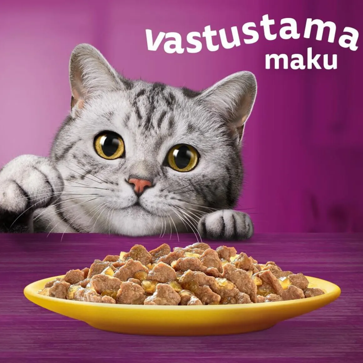 WHISKAS 11+ SIIPIKARJAHERKUT HYYTELÖSSÄ 12*85G 1,02 KG