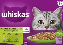 WHISKAS 1+ SUOSIKIT LAJITELMA HYYTELÖSSÄ 12*85G 1,02 KG