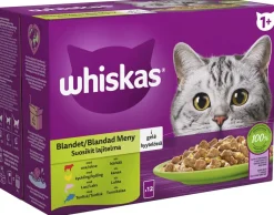 WHISKAS 1+ SUOSIKIT LAJITELMA HYYTELÖSSÄ 12*85G 1,02 KG