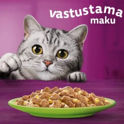 WHISKAS 1+ SUOSIKIT LAJITELMA HYYTELÖSSÄ 12*85G 1,02 KG