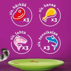 WHISKAS 1+ SUOSIKIT LAJITELMA HYYTELÖSSÄ 12*85G 1,02 KG