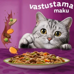 WHISKAS 1+ TASTY MIX KOKIN VALINTA KASTIKKEESSA 12*85G 1,02 KG