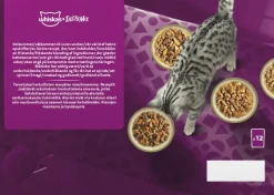 WHISKAS 1+ TASTY MIX KOKIN VALINTA KASTIKKEESSA 12*85G 1,02 KG