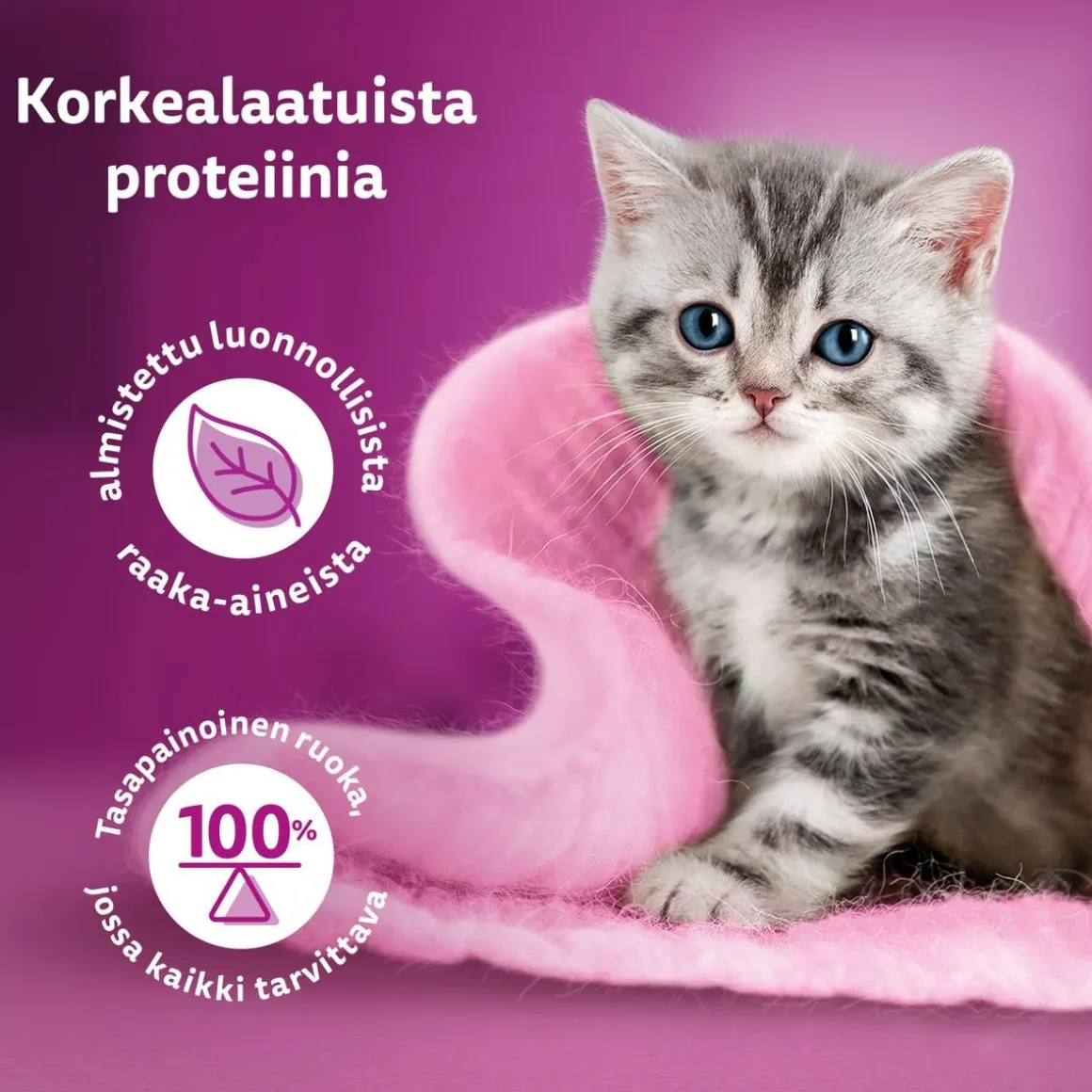 WHISKAS JUNIOR PURE DELIGHT SIIPIKARJAHERKUT HYYTELÖSSÄ 12*85G
