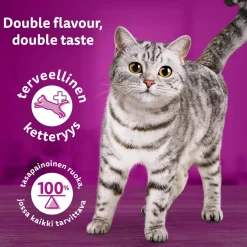WHISKAS 1+ DUO SURF & TURF HYYTELÖSSÄ 12*85G 1,02 KG
