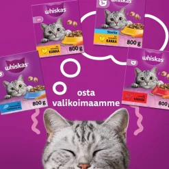 WHISKAS JUNIOR KANAA 800 G