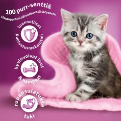 WHISKAS JUNIOR PERINTEISET ATERIAT KASTIKKEESSA 12*85G 1,02 KG