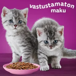 WHISKAS JUNIOR PERINTEISET ATERIAT KASTIKKEESSA 12*85G 1,02 KG