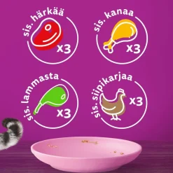 WHISKAS JUNIOR PERINTEISET ATERIAT KASTIKKEESSA 12*85G 1,02 KG