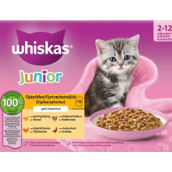 WHISKAS JUNIOR SIIPIKARJAA HYYTELÖSSÄ 12*85G 1,02 KG