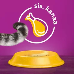 WHISKAS 1+ KANAA 3,8 KG