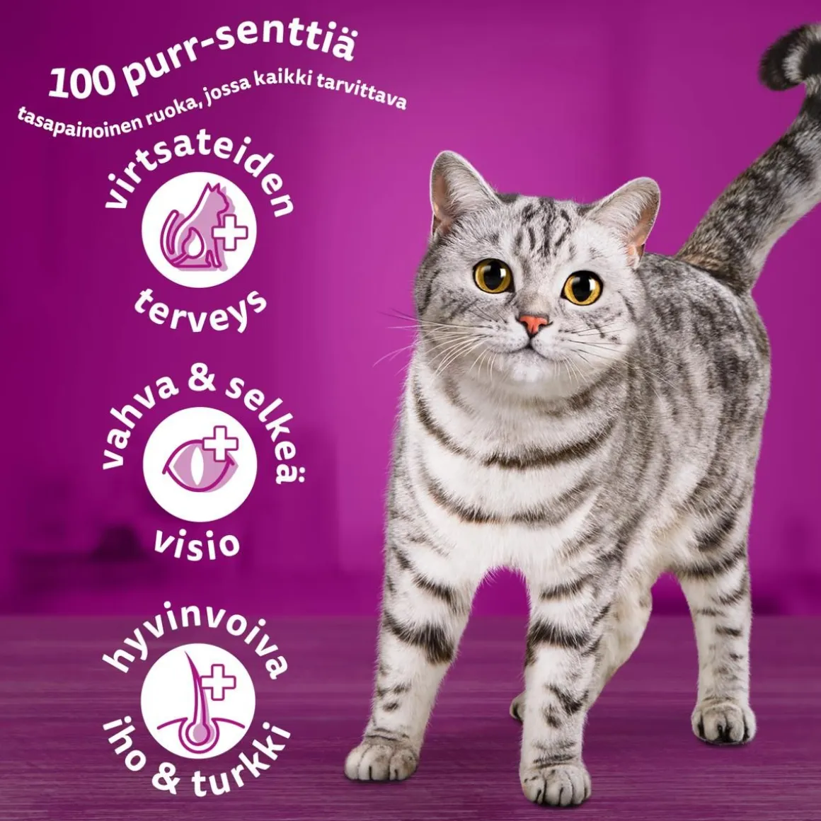 WHISKAS 1+ KANAA 3,8 KG
