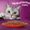 WHISKAS 1+ PERINTEISET ATERIAT KASTIKKEESSA 40*85G 3,4 KG