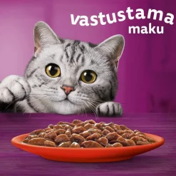 WHISKAS 1+ PERINTEISET ATERIAT KASTIKKEESSA 40*85G 3,4 KG