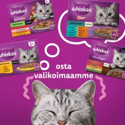 WHISKAS 1+ PERINTEISET ATERIAT KASTIKKEESSA 40*85G 3,4 KG