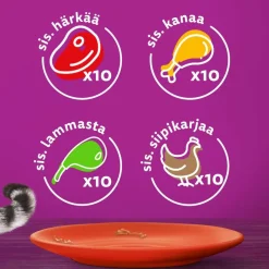 WHISKAS 1+ PERINTEISET ATERIAT KASTIKKEESSA 40*85G 3,4 KG
