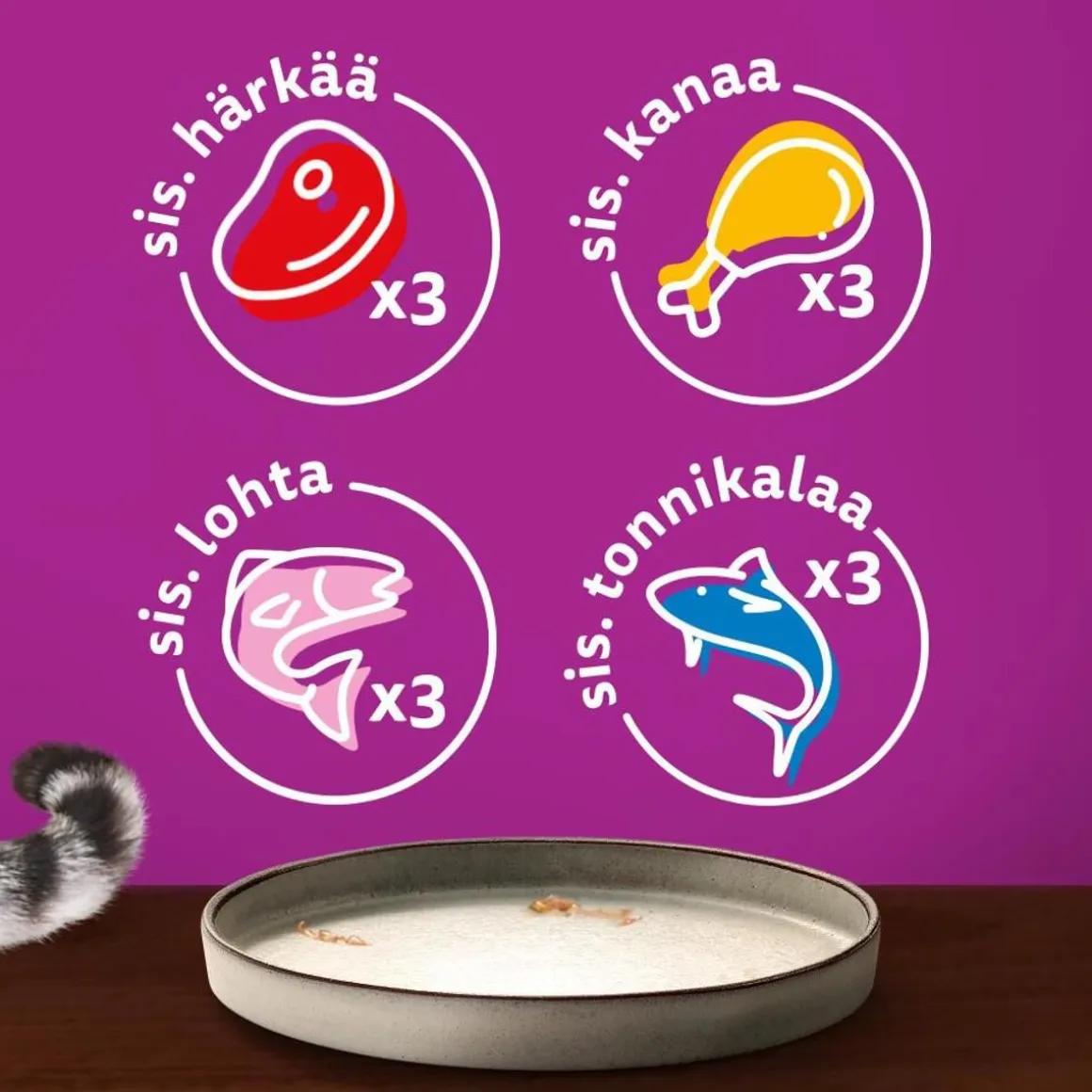 WHISKAS 1+ PURE DELIGHT SUOSIKIT LAJITELMA HYYTELÖSSÄ 12*85G 1,02 KG