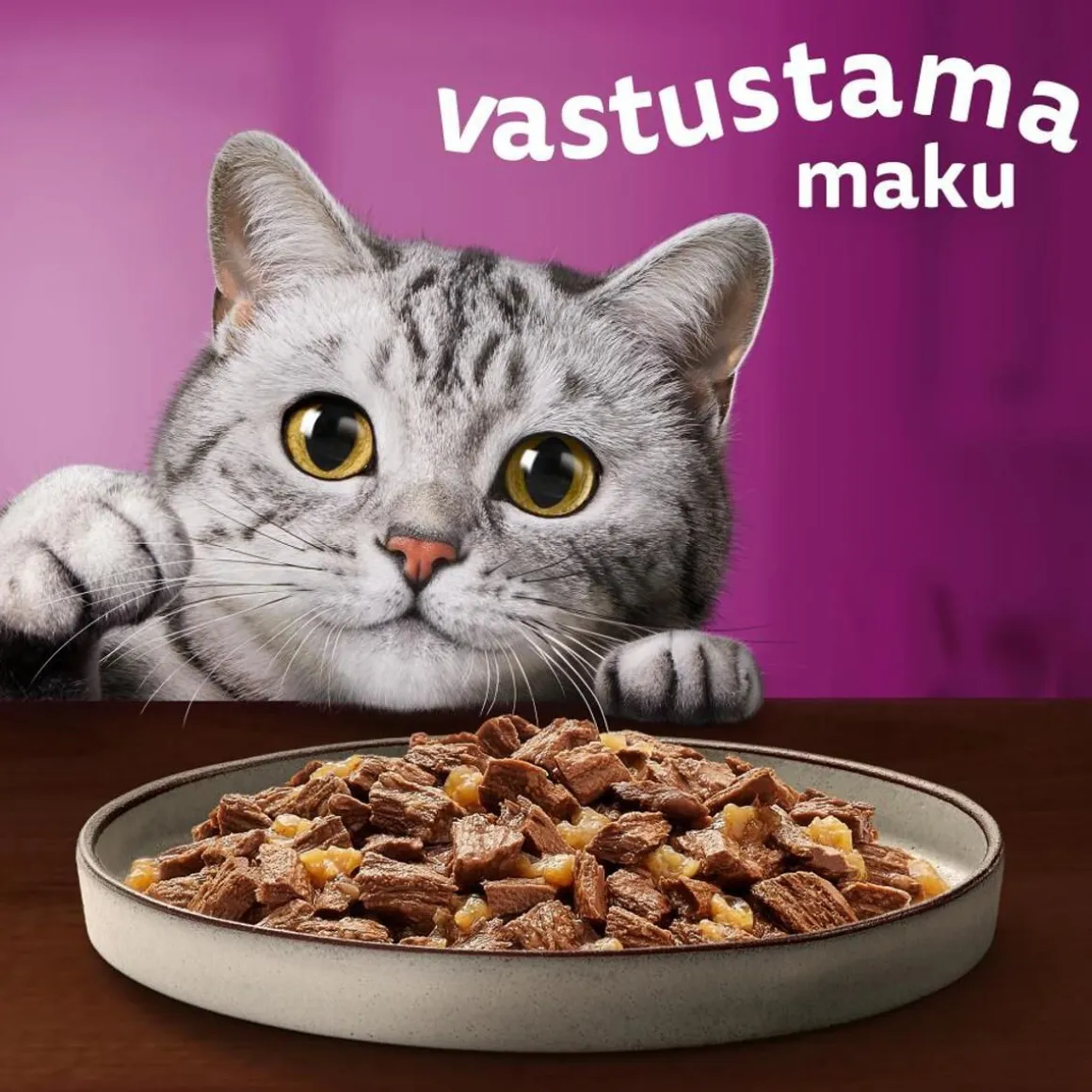 WHISKAS 1+ PURE DELIGHT SUOSIKIT LAJITELMA HYYTELÖSSÄ 12*85G 1,02 KG