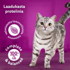 WHISKAS 1+ PURE DELIGHT SUOSIKIT LAJITELMA HYYTELÖSSÄ 12*85G 1,02 KG