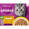 WHISKAS 1+ SIIPIKARJAHERKUT HYYTELÖSSÄ 12*85G 1,02 KG